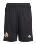 Camiseta y Pantalones para niños Bayern de Múnich Third 25/26 - Con Medias