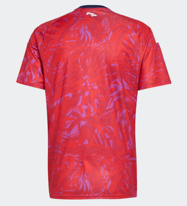 Camiseta Costa Rica Home 2026/27