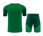 Camiseta y Pantalón corto de entrenamiento para niños Argelia 2026/27