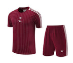 Camiseta y Pantalón corto de entrenamiento Arsenal 2025/26