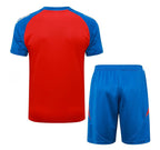 Camiseta y Pantalón corto de entrenamiento España