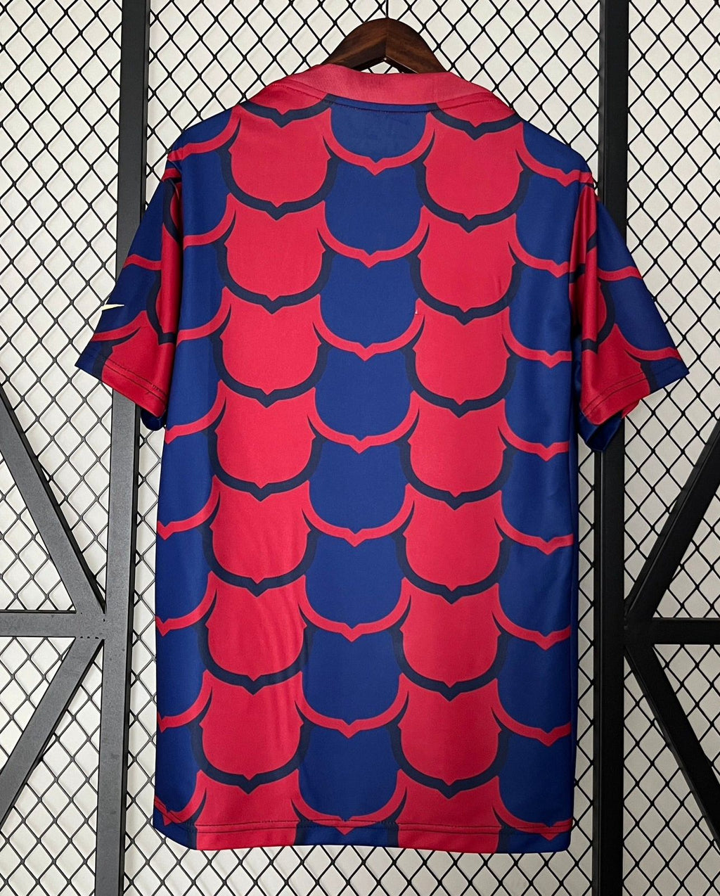 Camiseta FC Barcelona Entrenamiento 24/25