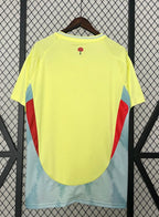 Camiseta España Away 24/25