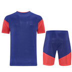 Camiseta y Pantalón corto de entrenamiento Japón 2026/27