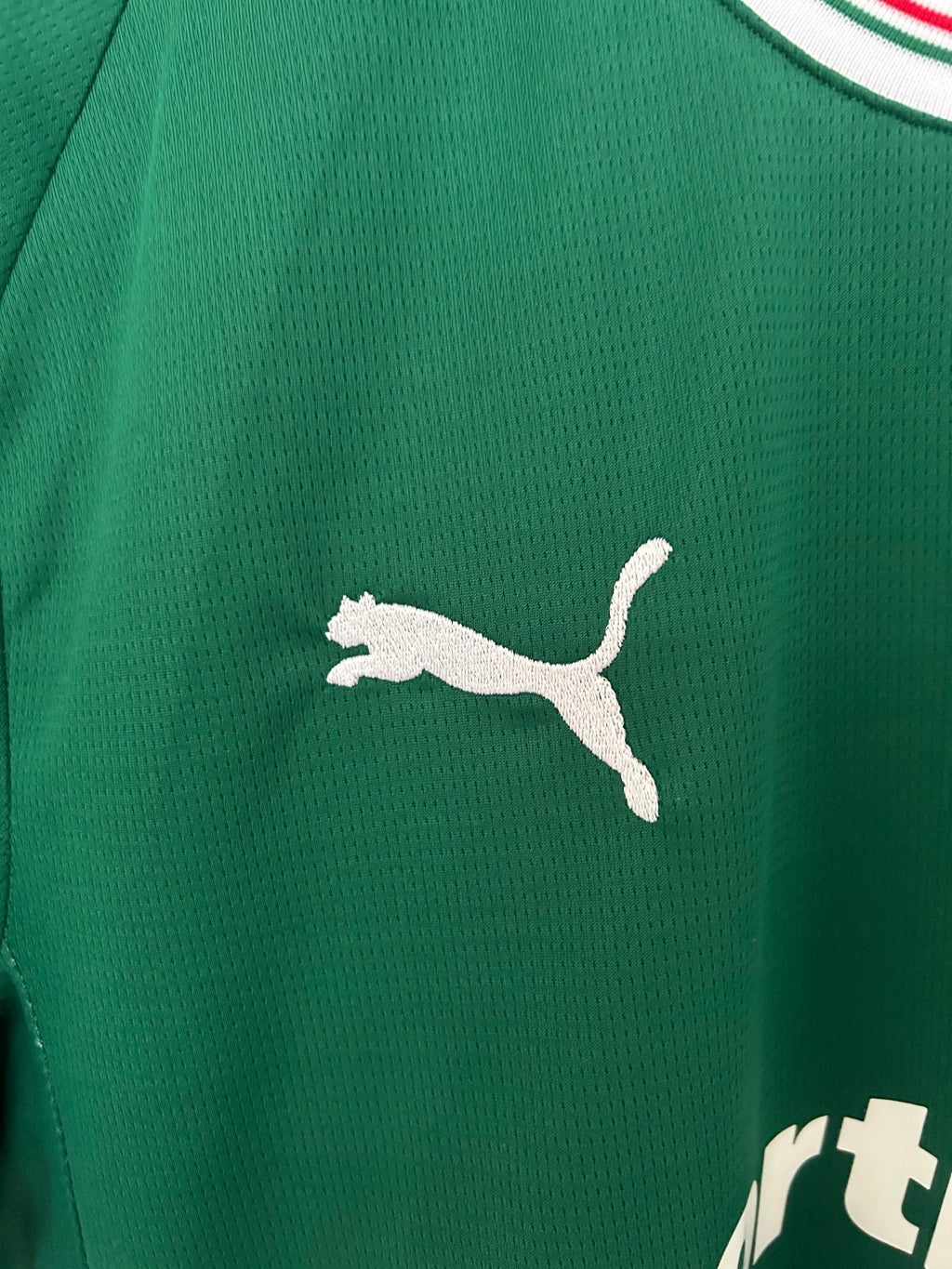 Camiseta Palmeiras Home 2026/27