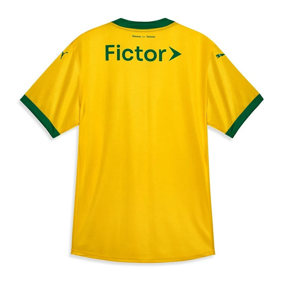 Camiseta Palmeiras Third 25/26
